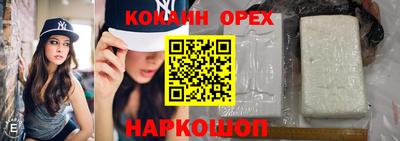 a pvp Обь