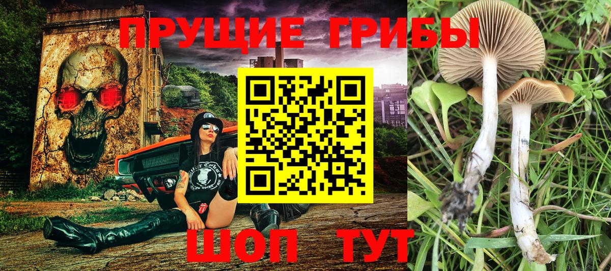 Галлюциногенные грибы прущие грибы Серпухов