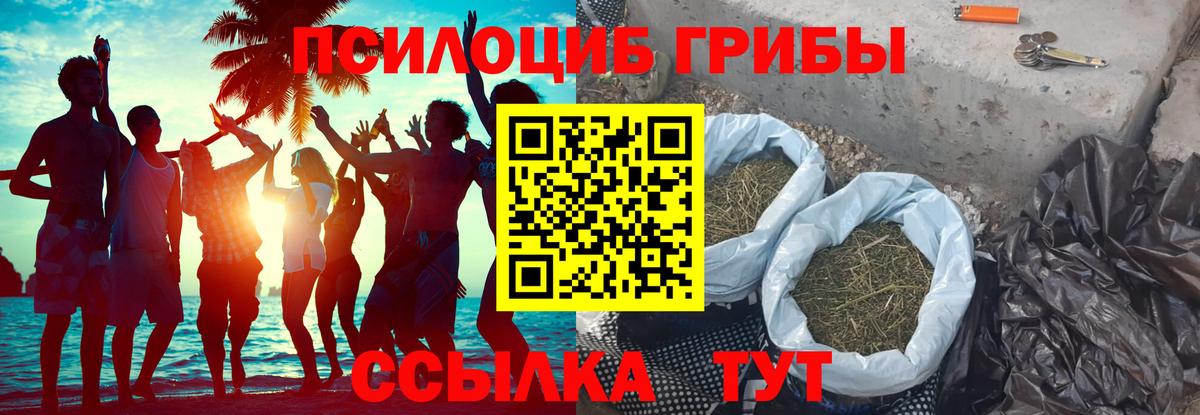 Серпухов  Галлюциногенные грибы Magic Shrooms  Вход с VPN 