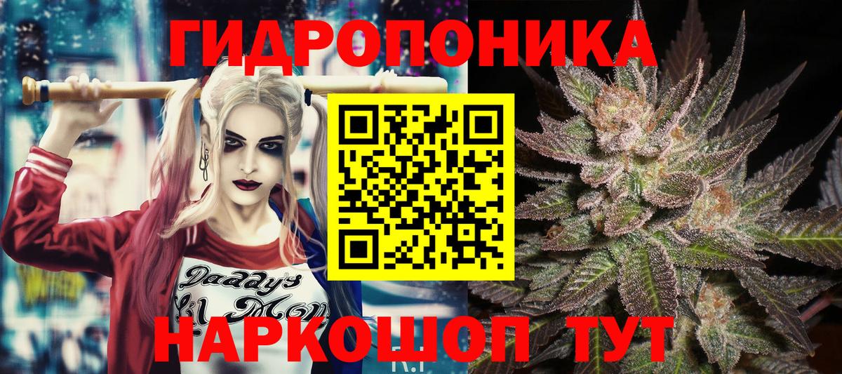 Серпухов  Шишки марихуана Bruce Banner  Бошки Шишки VHQ  Каннабис конопля  Шишки марихуана планчик  Вход с VPN 